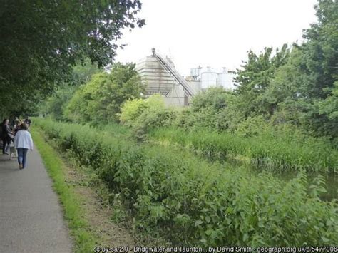 Taunton Bridgwater Canal Traffic Free Cycle Route WillCycle