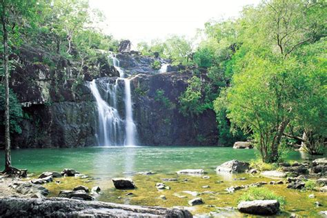 Cedar Creek Falls - Queensland Australia