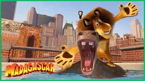 Dia De Excurs O Dreamworks Madagascar Em Portugu S Youtube