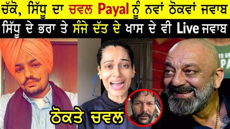 ਠਕਤ ਚਵਲ Sidhu Moose Wala Sanjay Dutt Payal Rohatgi Yaad