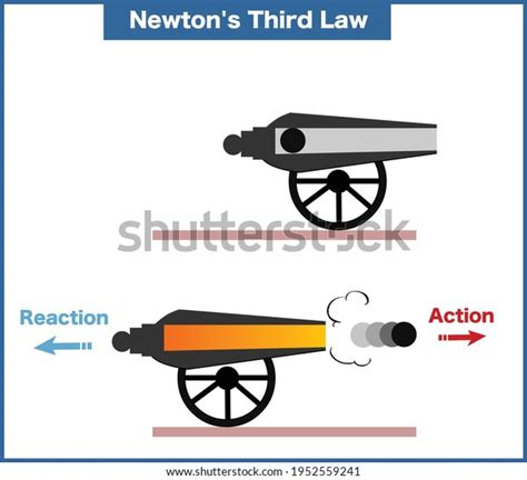 Newton Third Law Motion: Over 86 Royalty-Free Licensable Stock Vectors & Vector Art | Shutterstock