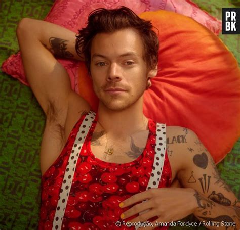 Harry Styles No Brasil S O Paulo Ter Show Extra Confira Purebreak