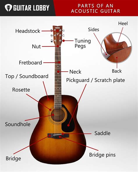 Parts of an Acoustic Guitar (with Diagram & Video) 2024 - Guitar Lobby