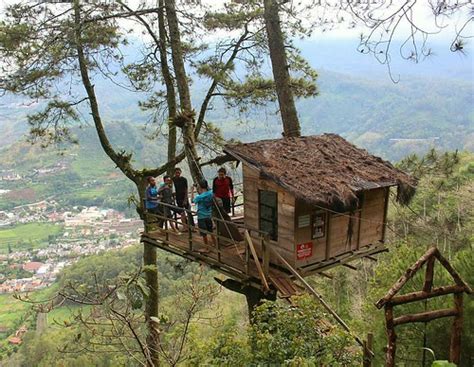 Wisata Rumah Pohon Atau Omah Kayu Berada Di Gunung Banyak Flickr