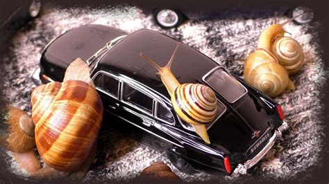 Cute Pet Garden Snails Tatra Zil Volga Chaika Model Cars