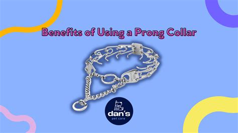 Benefits of Using a Prong Collar For Your Dog — Dan's Pet Care