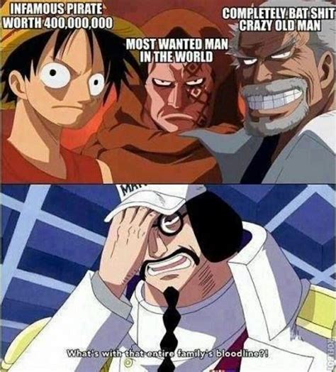 Relationship between Monkey D. Garp and Sengoku - One Piece