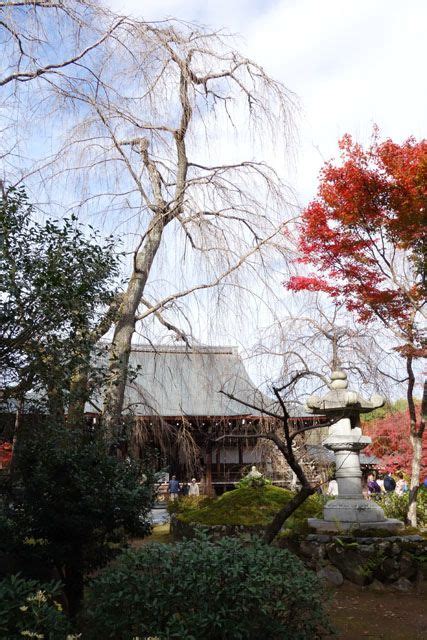 『紅葉の天龍寺、奥庭そして、奥山』 風景 寺院 京都 嵐山