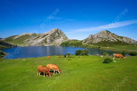 Fondo Lago Enol En Picos De Europa En Asturias De Espa A Foto E Imagen