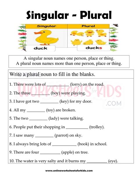 plural nouns worksheet  grade