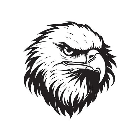 Eagle Head Vector Image 34715909 Vector Art at Vecteezy