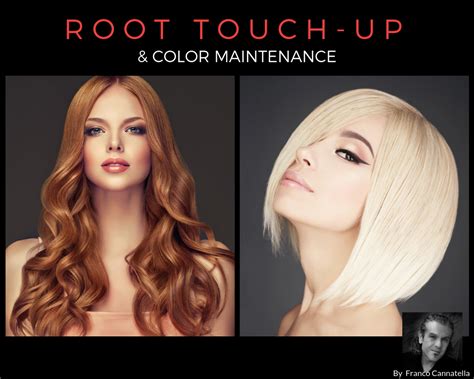 Root Touch Up & Hair Color Maintenance ~ Dellaria Salons