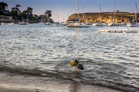 Aire Camping Car De Saint Malo Bretagne Aire Des Ilots