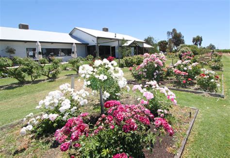 Renmark Rose Festival