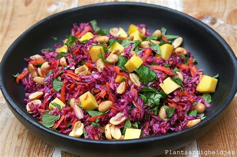 Rode Kool Salade Met Mango En Kruiden Plantaardigheidjes