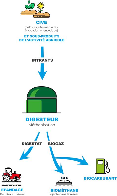 La M Thanisation Selon Artaim Artaim Conseil