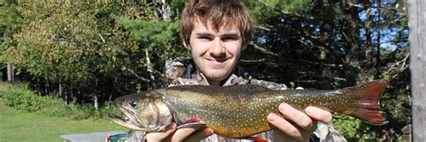Fishing for Wild Maine Brook Trout – Foggy Mountain's West Branch Bear