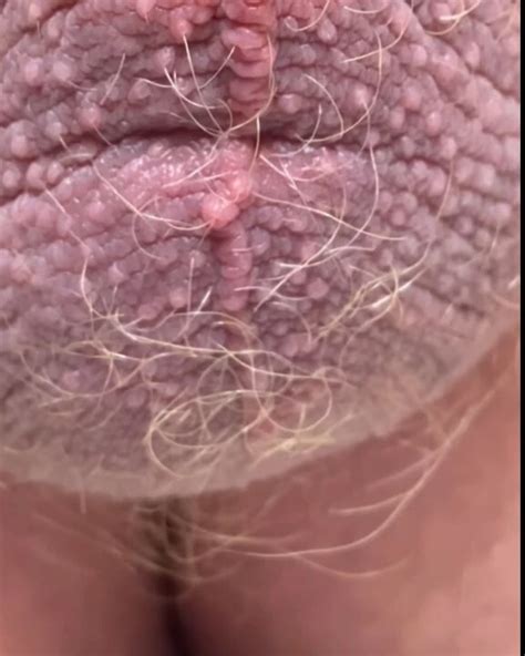 Pissing Gay Porn Videos XHamster