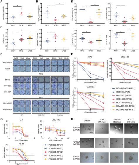 Cell Metab 复旦大学附属肿瘤医院邵志敏教授团队研究揭示了三阴乳腺癌潜在的代谢治疗靶点 知乎