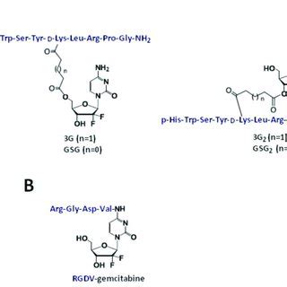 A Schematic Of Gemcitabine Dfdc Cellular Uptake Mechanism Of Action