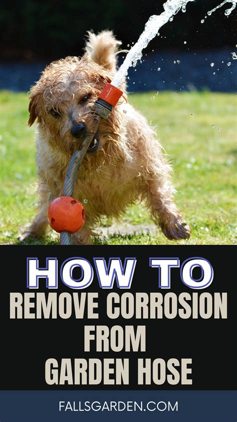 How To Remove Corrosion From Garden Hose And Prevent It Fallsgarden