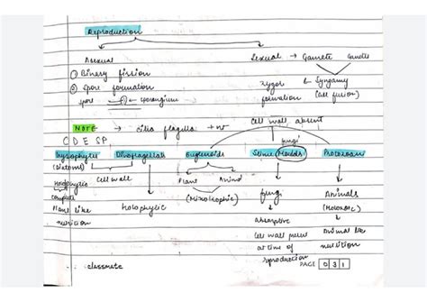 Solution Biological Classification Studypool