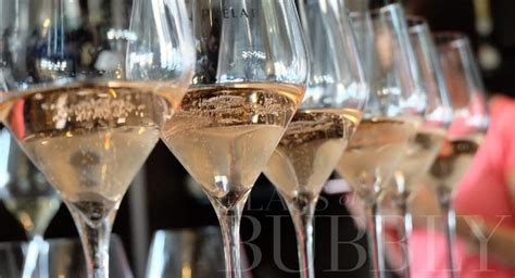 What To Expect From Tasting Champagne, Prosecco & Cava – Glass Of Bubbly