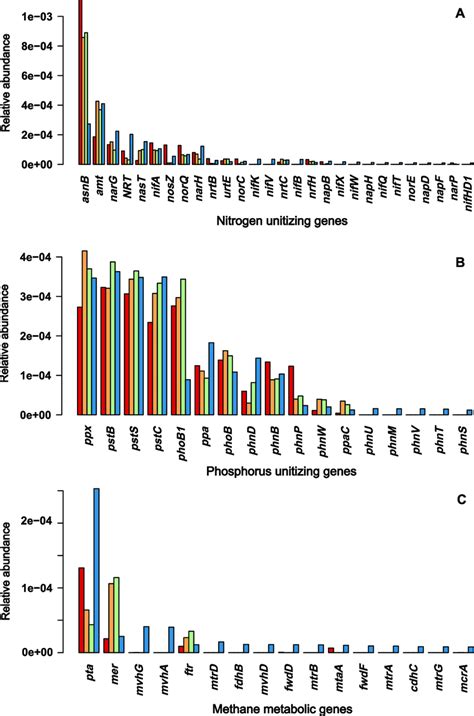 Abundance Of Genes Involved In Nitrogen And Phosphorus Utilization The