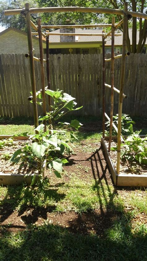 Bamboo Trellis Is Easy And Beautiful Way To Connect Two Raised Beds We