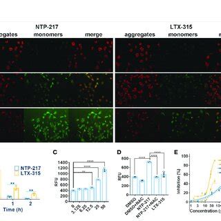 Decrease In Mitochondrial Membrane Potential And Increase In Ros Level