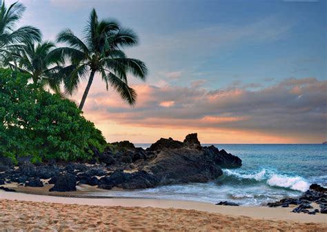 An Overview of Maui: Best Places to See and Top 5 Things to Do