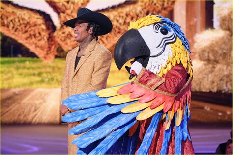 Who Is Macaw On The Masked Singer Season 9 Clues Guesses And Spoilers Revealed Photo