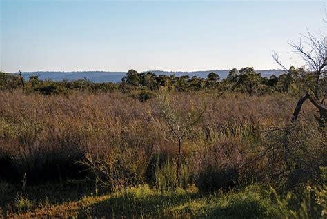 Ancient landscapes, remnant landscapes | Landscape Australia