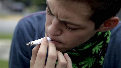 Fumar Marihuana Con Moderación En La Adolescencia No Afecta Al