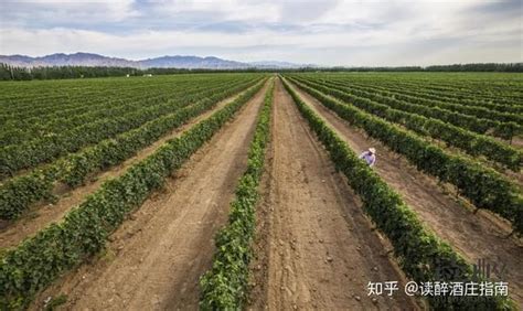 2019年度宁夏贺兰山东麓葡萄酒产区列级酒庄评定 评级背后的长远用心 知乎