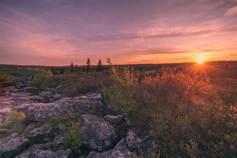 Exploring The Dolly Sods Wilderness A Photographers Paradise Real Wv