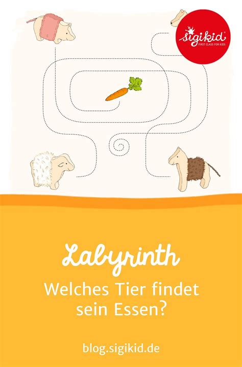 Tier Labyrinth Welches Tier Findet Hier Sein Essen Finde Den Richtigen