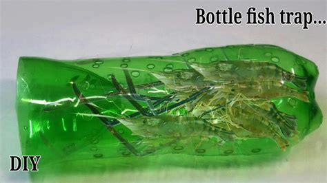 How To Make A Fish Trap Using Bottle Youtube