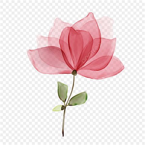 Abstract Watercolor Flower PNG Picture, Abstract Watercolor Flower ...