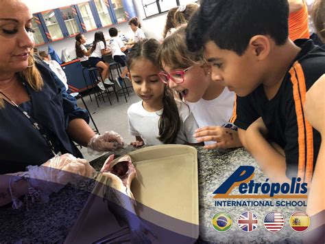 Colégio Petrópolis - Fundamental Ii E Ensino Médio