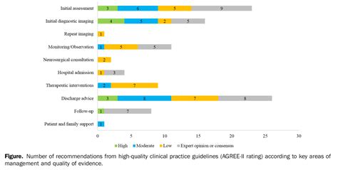 Recomendaciones De Las Guías De Práctica Clínica En Lesión Cerebral