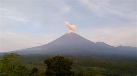 Waspada Gunung Semeru Erupsi Lagi Muntahkan Abu Vulkanik Setinggi