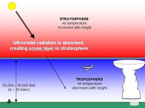 Earth's Ozone Layer