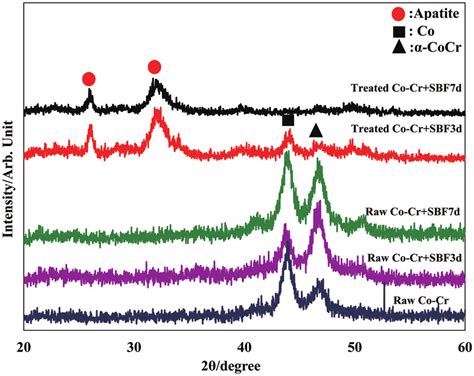 Tf Xrd Patterns Of The Surfaces Of The Co Cr Alloys With And Without