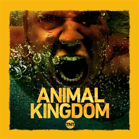 Animal Kingdom, Season 3 on iTunes