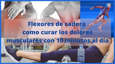 Flexores De Cadera Como Curarlos Con Minutos Al D A Flexores De