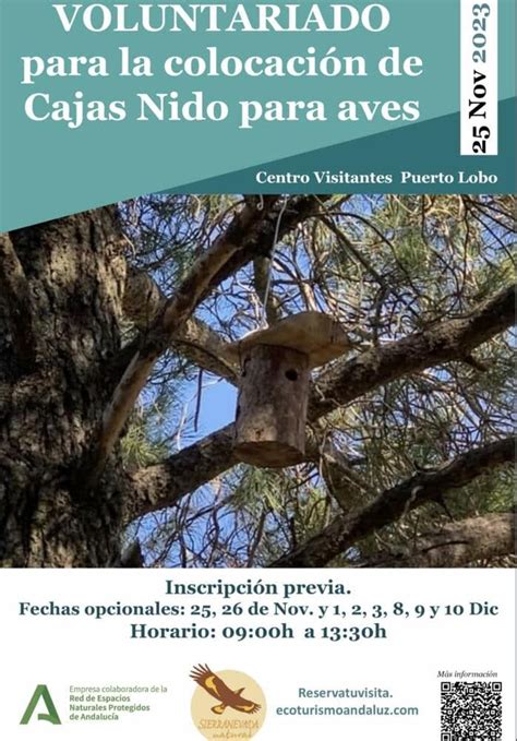 Voluntariado Para La Colocaci N De Cajas Nido Para Aves Sierra Nevada