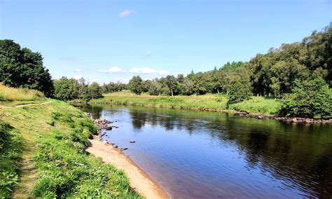 Central Scotland Salmon Fishing - SALMON FISHING IN SCOTLAND