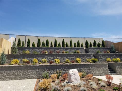 Drought Tolerant Backyard With Tier Retaining Wall And Steps