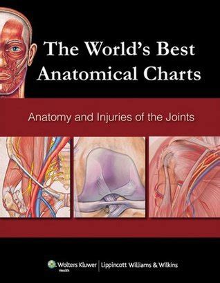 The Worlds Best Anatomical Charts Anatomy And Injuries Of The Joints